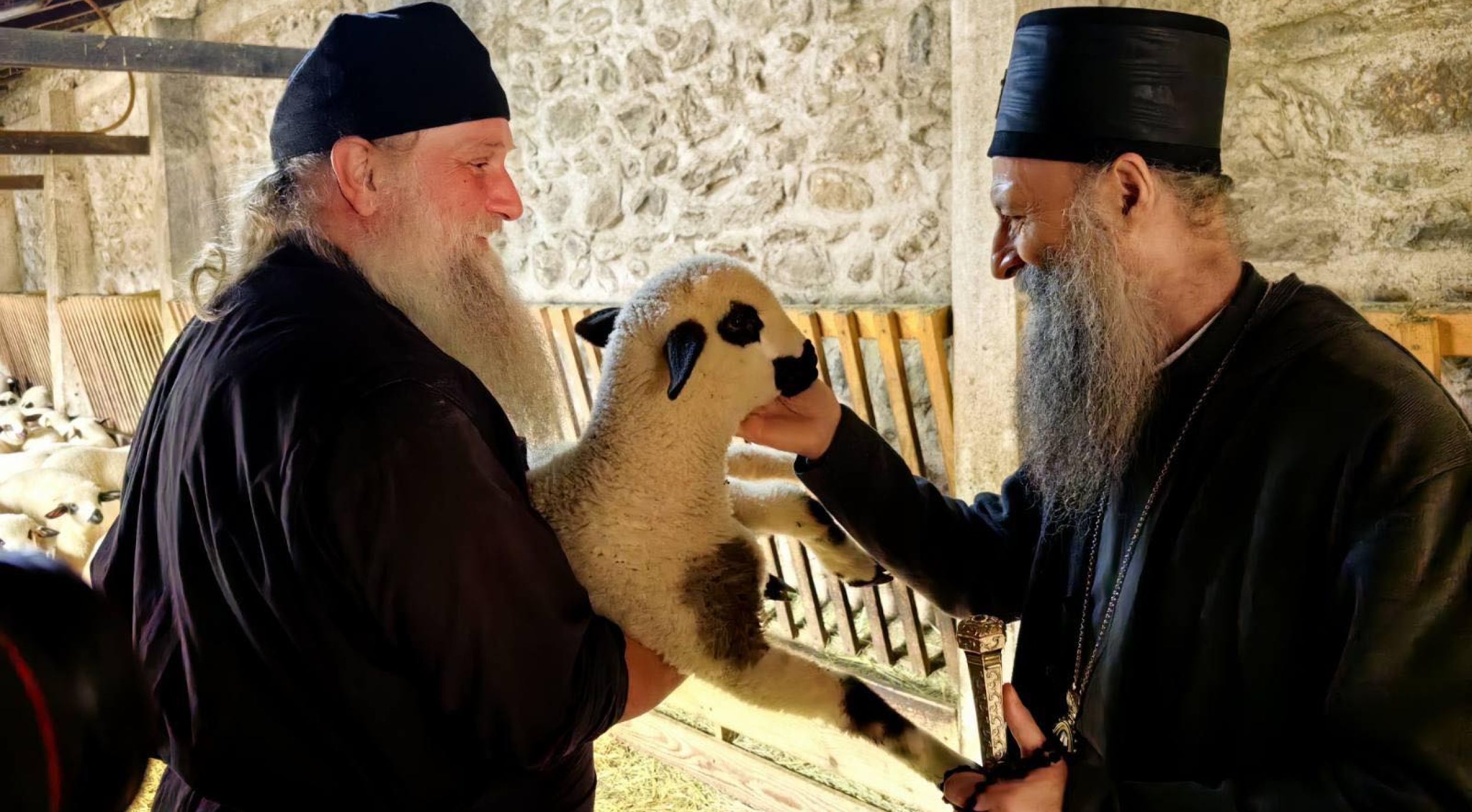 Ο Πατριάρχης κ.κ. Πορφύριος περιηγήθηκε το κτήμα της Ιεράς Μονής Βίσοκι Ντέτσανι